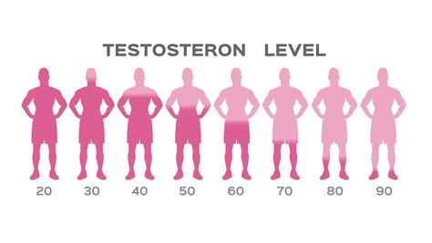 Image result for High Testosterone Levels Sign