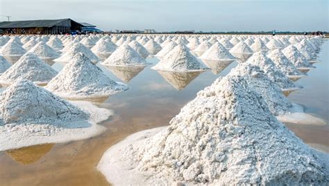 Solubility Process 的图像结果