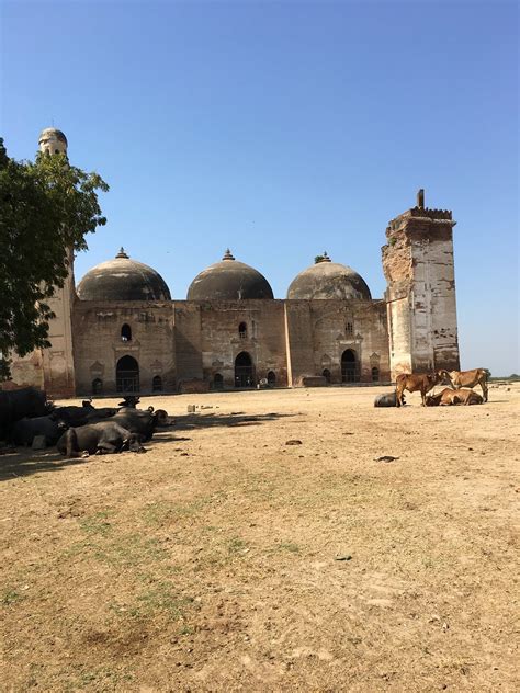 Dholka Tourism (2024): All You Need to Know Before You Go