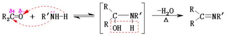 环已酮与胺反应产物是什么，如图_百度知道