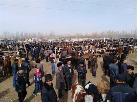 Xinjiang Travel (Urumqi) - 2022 What to Know Before You Go (with Photos ...