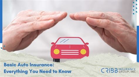 Basic Auto Insurance 的图像结果