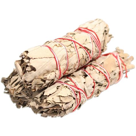 Bulk White Sage Smudge Sticks from NC Naturals - Buy More & Save! (Pack ...
