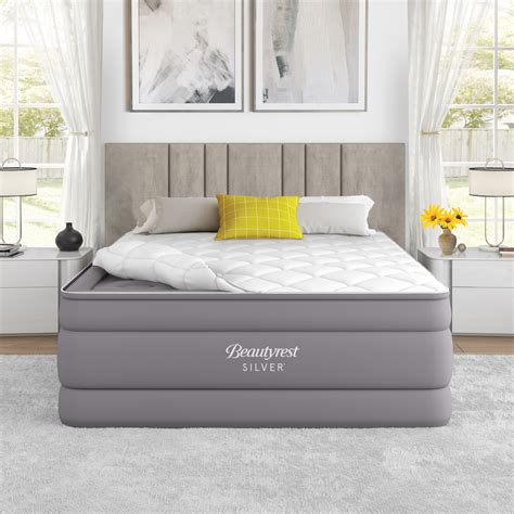 Buy Beautyrest Cushion Aire 20 Queen Air Mattress with Built-in Pump ...