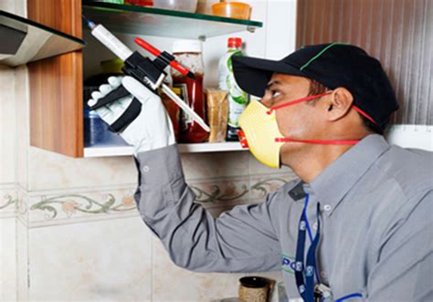 Natural Pest Control: Gel Treatment | Gel treatment services | Mumbai