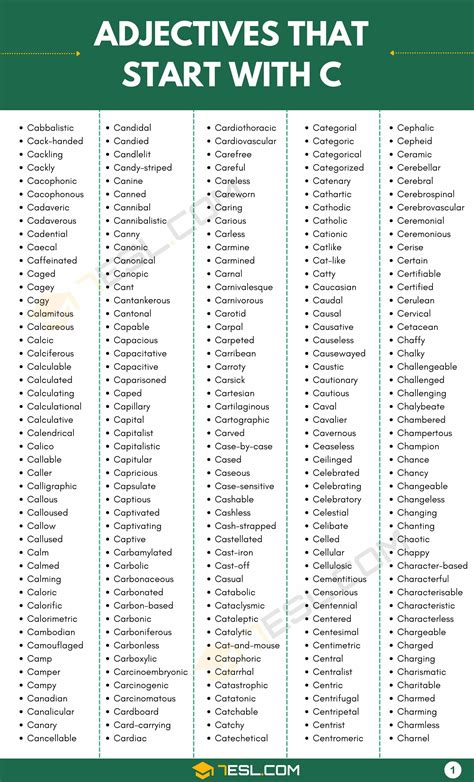 C Adjectives C 1 Grammar Quiz 2 Key | PDF | Adjective | Adverb