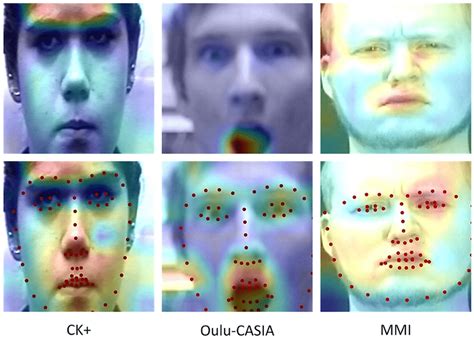 Image result for Visualization of High Level Features CNN