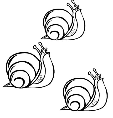Snail coloring pages to download and print for free