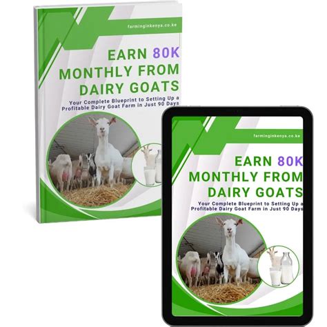 Dairy Goat Farming 的图像结果