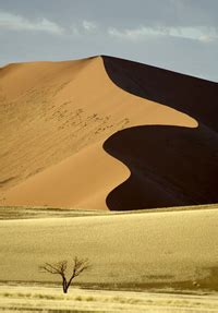 Annual Travel Insurance For Medical | RoamRight