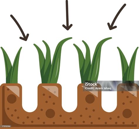 Space Between Plants 的图像结果