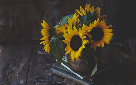 Download wallpaper 2560x1600 sunflowers, flowers, bouquet, yellow ...