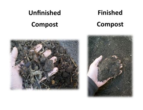 Compost Bagging System 的图像结果