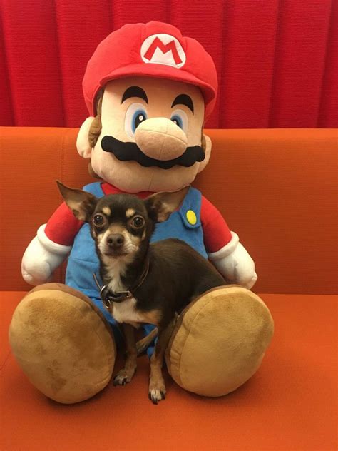 Axiom Zen Office Photos