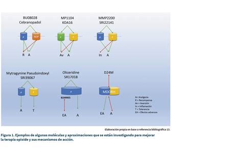 Nuevas estrategias y generaciones de analgésicos opioides: ¿qué se está investigando?