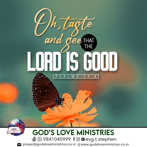 Psalm 34:8 :: God's Love Ministries - Today's Promise