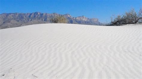 Salt Basin Dunes – Explore Texas