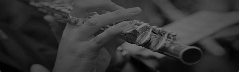 Image result for Flute Lessons