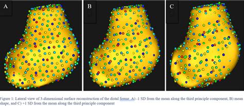 Image result for OpenGL Statistical Shape Model
