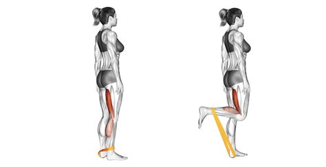 10 Gluteus Medius Minimus Exercises For Strengthening Your Hips And ...