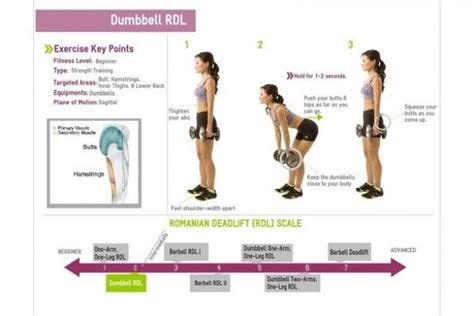 Move of the Week: Dumbbell Romanian Deadlift - Purdy's Wharf Fitness Club