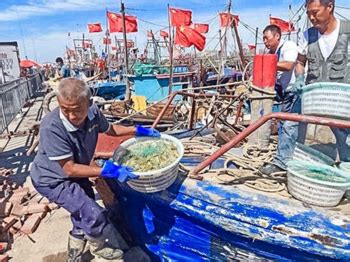 天津滨海出海打渔 包船出海打渔 体验渔民生活 打卡网红图书馆（1日行程） - 8264活动平台