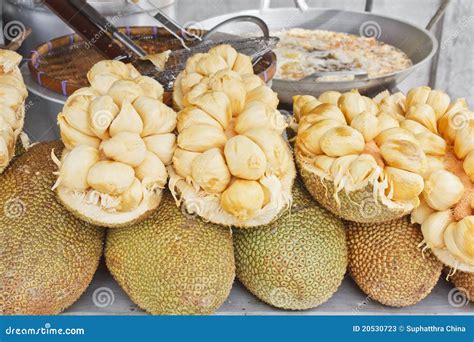 Jackfruit genus Artocarpus stock image. Image of southeast - 20530723