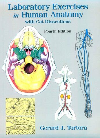 Buy Laboratory Exercises in Human Anatomy with Cat Dissections Book ...