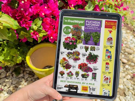 Fred Meyer Plant Return Policy at Kaitlyn Fitzhardinge blog