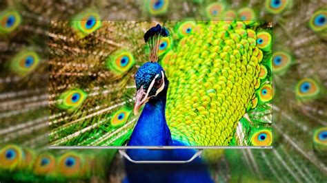 HDMI Connection Problems 的图像结果