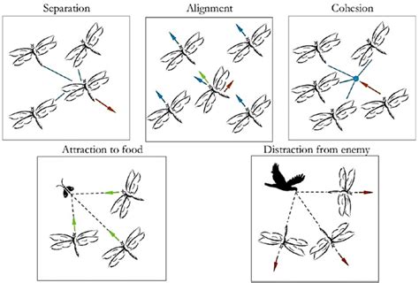 Algorithm Darija 的图像结果