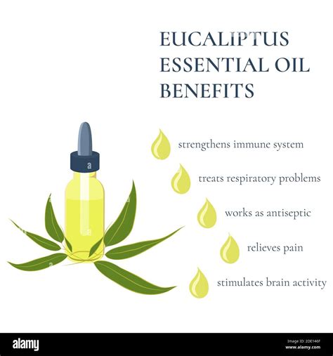 Eucalyptus Essential Oil Benefits