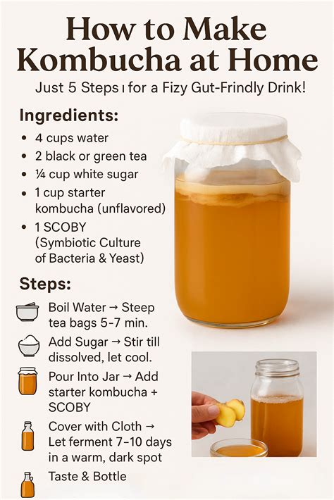Homemade Kombucha in 5 Easy Steps 🍹 (No Experience Needed!) | Kombucha recipe, Homemade kombucha ...