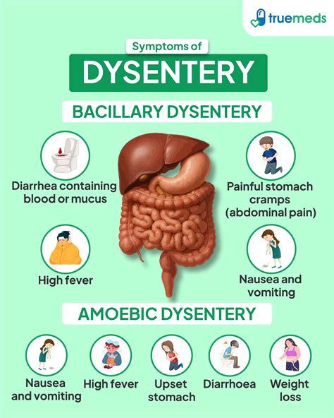 Dysentery: Causes, Symptoms, Treatment, and Prevention