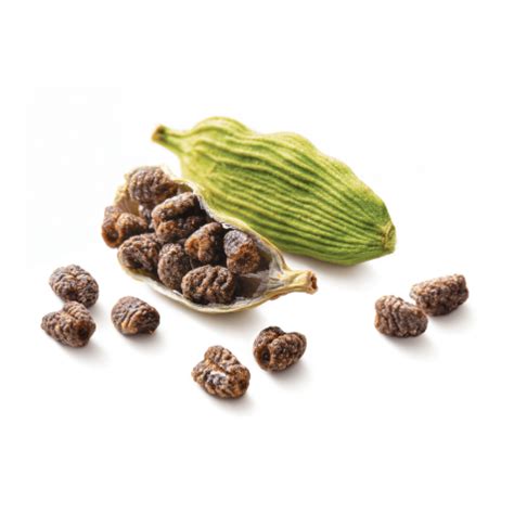 Green Cardamom Seed - KM Spices®