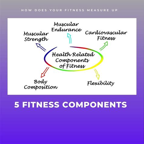 Five Components Of Fitness For Personal Trainers – EMAC Certifications