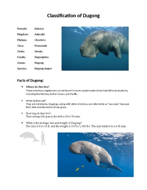 Predators Of Dugong