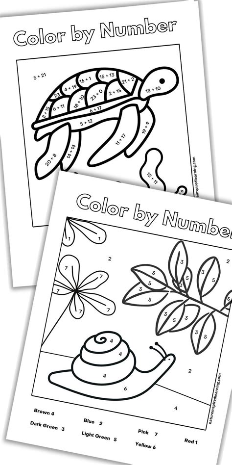 Image result for Color by Number Math Addition