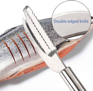 QBLYN Fish Scaler Price in India - Buy QBLYN Fish Scaler online at ...
