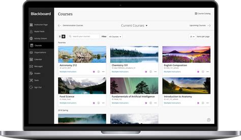 Blackboard Learn Tamuk
