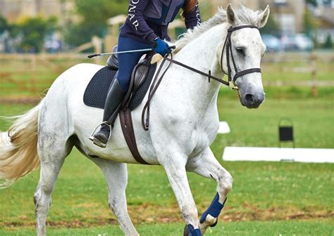 Stonar School (Bath, United Kingdom)