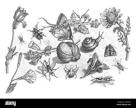 Print from a series of 48 prints, divided into four separate parts of ...