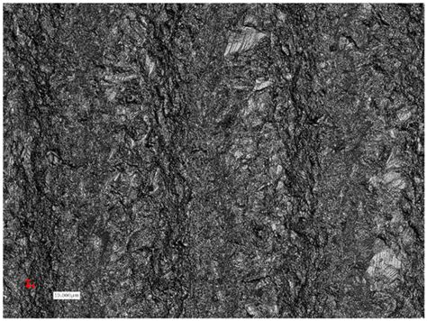 Titanium Wear of Dental Implants from Placement, under Loading and ...
