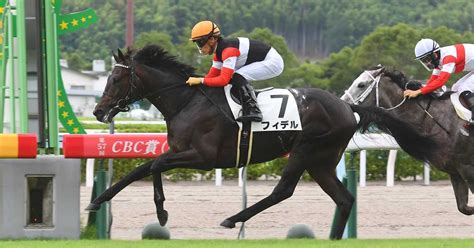 【POG調査隊】フィデル - サンスポZBAT!