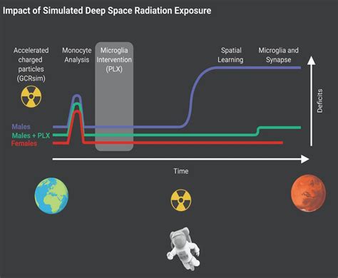 太空 的图像结果