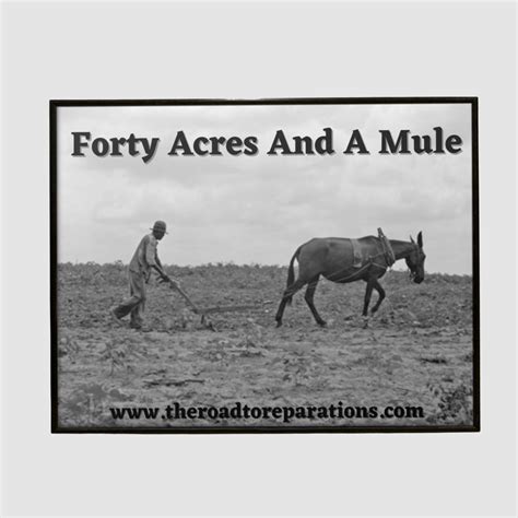 Forty Acres and a Mule Reparations Now – The Road To Reparations