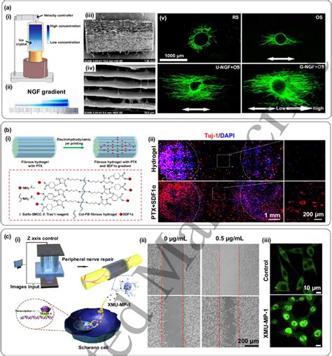 Image result for Complex Bioengineered System
