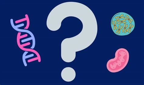 Image result for DNA Test Example