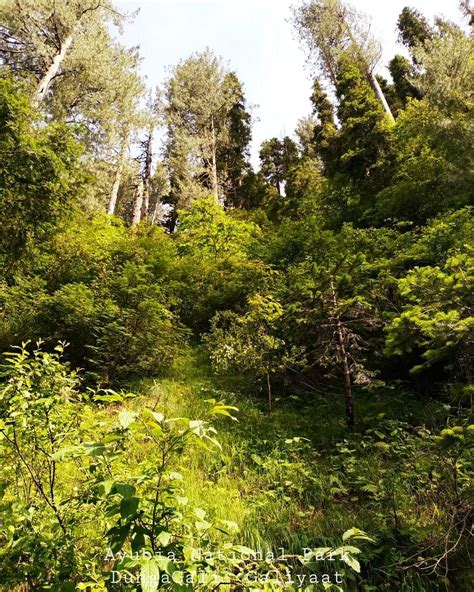 AYUBIA NATIONAL PARK (2025) All You Need to Know BEFORE You Go (with ...