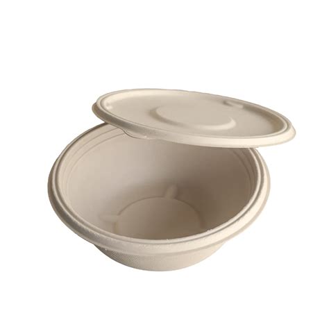 Leading Eco-Friendly Bagasse Product Manufacturer & Exporter